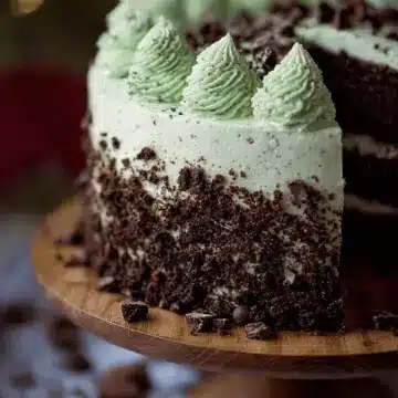 Mint Chocolate Chip Cake
