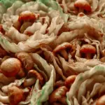 Cabbage With Mushrooms