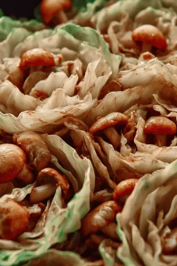 Cabbage With Mushrooms