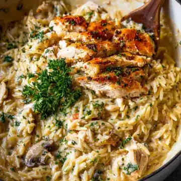Creamy Chicken Orzo