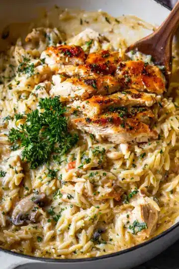 Creamy Chicken Orzo